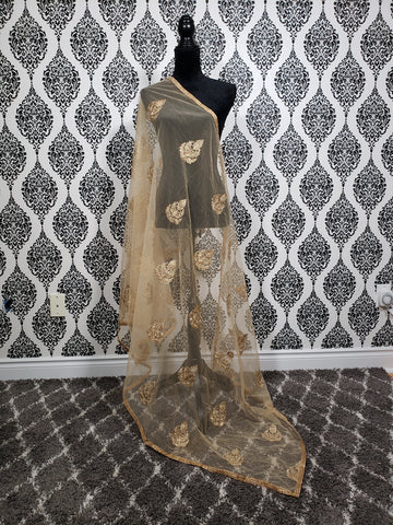 Image of Motif Net Dupattas