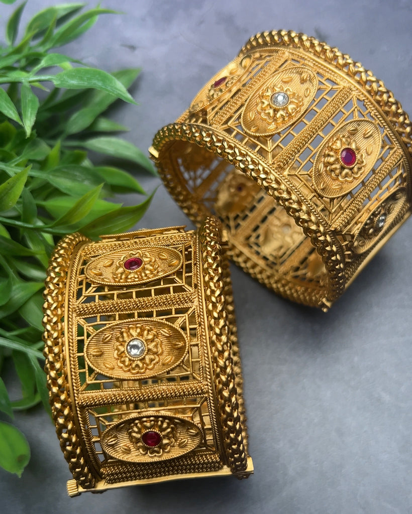 Rajasthani Kadhe